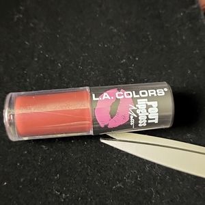 L.A. COLORS POUT LIPGLOSS MATTE